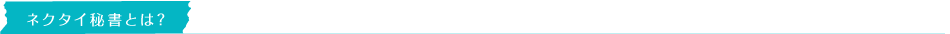 ネクタイ秘書とは？